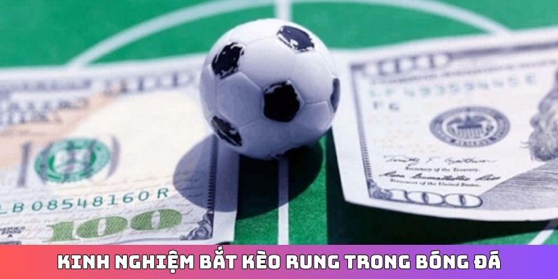 Kinh nghiệm bắt kèo rung trong bóng đá