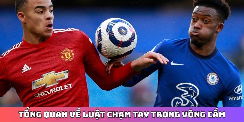 Tổng quan về luật chạm tay trong vòng cấm