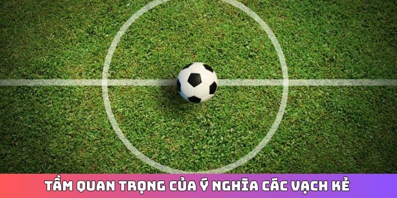 Tầm quan trọng của ý nghĩa các vạch kẻ
